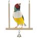 Ciny 2pcs Natural Wood Bird Toys - Swing for Parrots & Birds | Hanging Cage Toys with Bell for Fun & Play - Buy Online on GoSupps.com