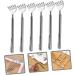 Beavorty 6-Stage Stainless Steel Telescopic Scraper & Massage Tool - Perfect for Neck Back & Finger Scratches - Buy Online on GoSupps.com