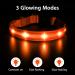 Masbrill Waterproof LED Dog Collar - Luminous Band with 3 Flashing Lights Adjustable Safety for Small Medium and Large Dogs - Orange (M: 38-50cm) - Buy Online on GoSupps.com