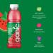 Organic Watermelon Mint Flavored Water - Isotonic Low Calorie Vegan - 100% Recycled PET (12 x 500ml) - Shop Now! - Buy Online on GoSupps.com