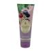 Buy Bath and Body Works Gift Set - 2 x 8 oz Black Raspberry Vanilla Body Cream | International Shipping Available - Buy Online on GoSupps.com