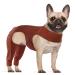 Hjyokuso recovery suit for dogs surgery suit leg surgery suit licking sleeves for hind legs elbow protection dog sleeves against licking bite avoids wound infections size XS XS brown