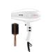 Cortex Professional Torrid 500 1875 Watt Professional Hair Dryer with 2 piece Nozzle 2.5 Inch Wood Boy Boar hair Brush Bundle (White)