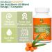 Sea Buckthorn Oil Blend - Omega-7 Complete 60 Softgels (500mg) - Omega 7 Supplement - Buy Online on GoSupps.com