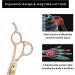 Dream Reach 7 Professional Pet Grooming Scissors Set - Japanese 440C Steel Straight, Curved, Thinning & Chunker Shears for Dog, Cat & More - 7-inch-Grooming Scissors Set 02 - Buy Online on GoSupps.com
