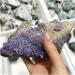 Real Natural Grape Agate Purple Prehnite Specimen Raw Collectibles Stones and Crystals Decor (Size : 300-400g one) - Buy Online on GoSupps.com