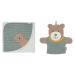 Sterntaler hooded bathing towel Ben bear ben age: from 0 months 80 x 80 cm light green & game washing glove bear ben size: 22 x 24 cm medium green bundle with washing glove medium green