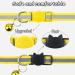 Buy Taglory Reflective Cat Collar with Safety Clasp & Bell - 2-Piece Adjustable Kitten Collars (15-20cm Yellow) - International Shipping Available - Buy Online on GoSupps.com