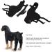 Pet Knee Joint Wrap Reflective Soft Material Inflammation Reduction Stable Dog Hind Leg Support Brace for Knee Dislocation L - Buy Online on GoSupps.com