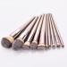 10 Champagne Gold Makeup Brushes Premium Quality for Flawless Application | International Shipping Available - Buy Online on GoSupps.com