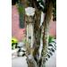 Pawprint Pet Memorial Wind Chime - Sympathy Gift for Grieving Pet Owners - Includes Poem Card - Buy Online on GoSupps.com