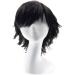 Gairyan Short Black Wig Cosplay Wig Unisex Anime Cosplay Wigs for Women/Men Straight Fluffy Wig Costume Theme Party Fancy Dress Wigs Halloween Wig Comic-Con Costumes Accessories - Buy Online on GoSupps.com