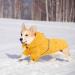 FUAMEY Dog Rain Coat | Lightweight Waterproof Rain Jacket with Transparent Brim | Reflective Dog Rain Poncho | Leash Hole | Yellow Slicker Raincoat for Small Medium Dogs Cats | Large Breed (14-23lb) - Buy Online on GoSupps.com
