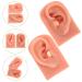 Beaupretty 3D Silicone Ear Model for Acupuncture & Massage Practice - Realistic Human Ear Display - Buy Online on GoSupps.com
