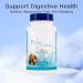 15 Day Gut Cleanse & Colon Support | Optimal Gut Health for Men & Women - 2 PCs - Buy Online on GoSupps.com