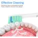 Senyum Replacement Heads for Philips Sonicare E-Series Toothbrush - 4 Pack - Buy Online on GoSupps.com