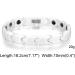 SunnyHouse Women's White Tungsten Carbide Magnetic Bracelet | Elegant Gift Box Included | International Shipping Available - Buy Online on GoSupps.com
