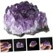 FOMIYES 3pcs Natural Crystal Cluster Crystal Cluster Adornment Purple Decor Artwork Unique Natural Minerals - Buy Online on GoSupps.com