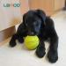 Laroo Durable Natural Rubber Dog Ball | Squeaker Toy for Small & Large Dogs | 9cm Green Dog Football - Buy Online on GoSupps.com