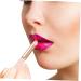 VINTORKY Lip Blending Brush Makeup Brush Lip Gloss Lip Wands Lip Brush Wand Foundation Brush Lip Applicator Lip Brush for Women Lip Mask Brush Lip Makeup Smudge Stick Fiber Wool Pink Lips - Buy Online on GoSupps.com