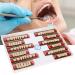 Buy Complete Resin Dentures | High-Quality Artificial Teeth & Dental Supplies for International Shipping - Buy Online on GoSupps.com