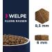 Eukanuba Puppy Food with Fresh Chicken for Small Breeds - Premium 3 kg Dry Dog Food for Junior Dogs - Buy Online on GoSupps.com