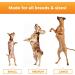 VETRISCIENCE Glycoflex Clinically Proven Hip and Joint Supplement with Glucosamine for Dogs Chicken 60 Chews - Vet Recommended Mobility Support Supplement with DMG MSM and Perna - Buy Online on GoSupps.com