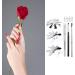 HelloCreate Acrylic Nails Tool Kit French Smile Line Trimmers Nail Brushes French Tip Cutter nail Manicure Edge Trimmer with Replacement Blades - Buy Online on GoSupps.com