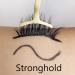 Latex-Free Eyeliner Lash Glue for Sensitive Eyes | Strong Hold Waterproof Eyelash Glue Pen for False Lashes - Buy Online on GoSupps.com