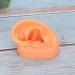 Silicone Imitation Real Human Ear Display Model - Sculpture Supplies - Buy Online on GoSupps.com