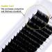 Buy Individual Eyelashes 1:1 Extension - 0.18mm D Curl | Classic Mix 8-14mm | Gemerry - Buy Online on GoSupps.com