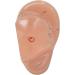 Ear Zone Model XC-514A - Height 7 | Premium Quality Ear Protection - Buy Online on GoSupps.com