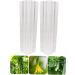 CIYODO 2pcs Vegetable Shaping Mold Cucumbers Cucumber Growing Mould Vegetable Growing Mold Accessories - Buy Online on GoSupps.com