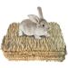 4 Pack Rabbit Grass Mat Natural Woven Hay Rabbit Bedding Bunny Chew Edible Cage Liner Straw Resting Mats for Cages Hut Guinea Pig Rodent Parrot Rabbit Bunny Hamster Rat Chinchilla-12inch Rabbit Mats - Buy Online on GoSupps.com