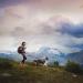Trekking Belt by Nonstop | Running Jogging & Hiking Belt for Dogs (S Purple) - Best for Outdoor Adventures - Buy Online on GoSupps.com