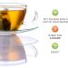 Organic Stinging Nettle Herbal Tea Aids with Seasonal Allergies NPN 80002075 Joints and Urinary System Pack of 50 Tea Bags - Buy Online on GoSupps.com
