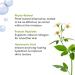 BareMinerals Ageless Phyto-Retinol Eye Cream Fair 15 Cool 8.0g - Anti-Aging Skincare - Buy Online on GoSupps.com