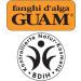 GUAM ECO PACK COLD FORMULA 1KG+250ML - Buy Online on GoSupps.com