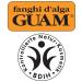 Guam Algae Mud Cooling Formula 500g Natural Solution for Spider Veins & Healthy Skin - Buy Online on GoSupps.com