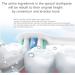Specialty Gum Toothpaste for Root Canal Treatment | Nanohydroxyapatite Gum Repair | Relieves Pulpitis & Periodontitis Pain | Prevent Root Fracture | 3.52 Oz Spearmint - Buy Online on GoSupps.com