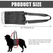 Premium Dog Harness for Hedge Aid | Comfortable & Secure International Shipping - Buy Online on GoSupps.com