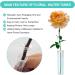 LznYi 100 Pack 2.83 Floral Water Tubes - Clear Plastic Tubes for Milkweed and Flower Arrangements - 100pcs White - Buy Online on GoSupps.com