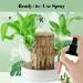 Brazilian Wood Plant Food Lucky Bamboo Liquid Fertilizer Lucky Brazilian Wood Houseplant Fertilizer Brazilian Wood Flowering Special Nutrient Solution (2pcs) - Buy Online on GoSupps.com