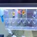 Acrylic Fish Breeding Box | Isolation Breeder Hatchery for Baby Fish, Shrimp, Clownfish - Buy Online on GoSupps.com