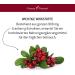 Fitness Pharma Cranberry Capsules - 36 400 mg | High-Dose 900 mg Extract | 100 Capsules for Cystitis Relief | D-Mannose Support | International Shipping - Buy Online on GoSupps.com