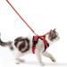 Cat dishes with a leash breakproof cat leash set adjustable soft kitten vest with reflective stripes breast dishes for small kittens (red s) red s