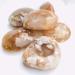 Crystal Rough 1pc raw Natural Rough Uncut Agate Quartz Crystal Gemstone for Astrology - Buy Online on GoSupps.com
