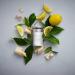 Aera Citrus Scent Refill - Lemon, Orange, Clary Sage & Cedar - For Aera Diffuser - Buy Online on GoSupps.com