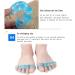 DEAVER Five-Finger Hallux Valgus Divider Separators for Overlapping Toes Gel Silicone Straightener Corrector Spreader Spacers Crooked ToesCorrection B 4 double pack - Buy Online on GoSupps.com
