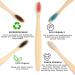 SWKJ Bamboo Toothbrushes 10 Pack Organic Soft Bristle Eco-Friendly Toothbrushes for Adults & Kids Plastic-Free Travel Family Set (Multi-Colored) - Buy Online on GoSupps.com